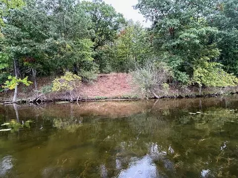 Snake Island, Jackson, MI 49201 photo 31