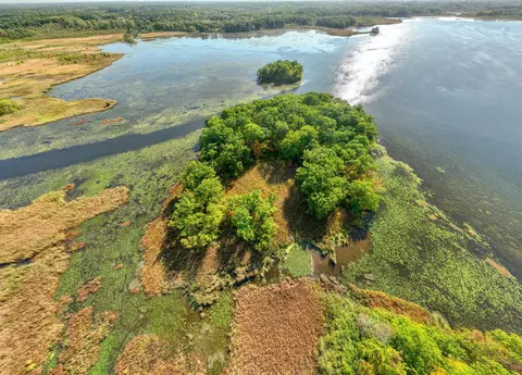 Snake Island, Jackson, MI 49201 photo 13