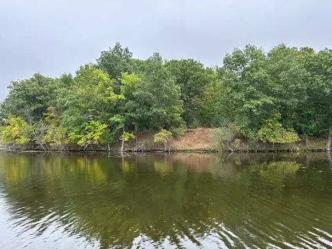 Snake Island, Jackson, MI 49201 photo 30