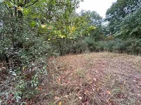 Snake Island, Jackson, MI 49201 photo 33