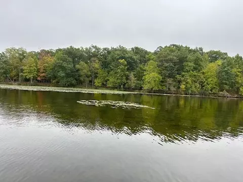 Snake Island, Jackson, MI 49201 photo 42