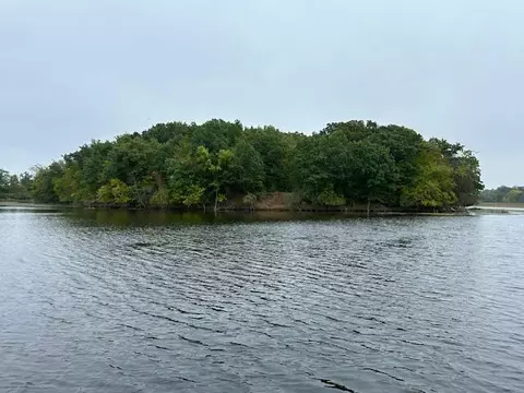 Snake Island, Jackson, MI 49201 photo 29
