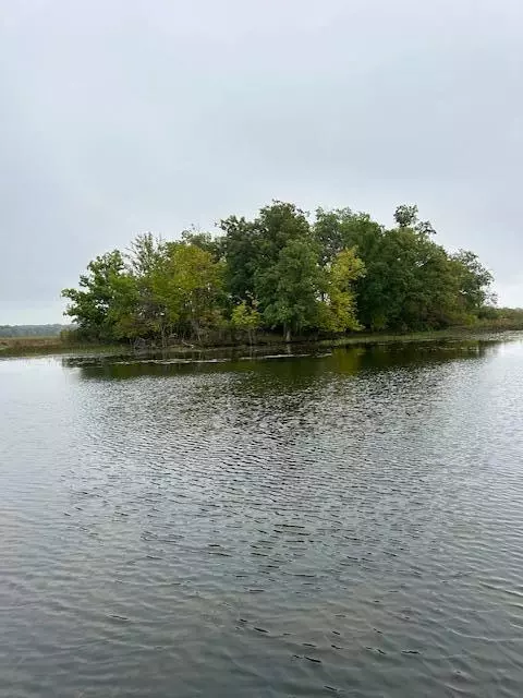 Snake Island, Jackson, MI 49201 photo 43