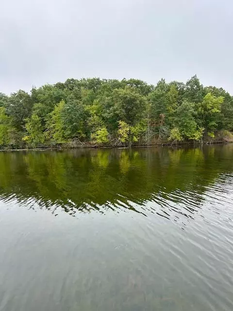 Snake Island, Jackson, MI 49201 photo 40