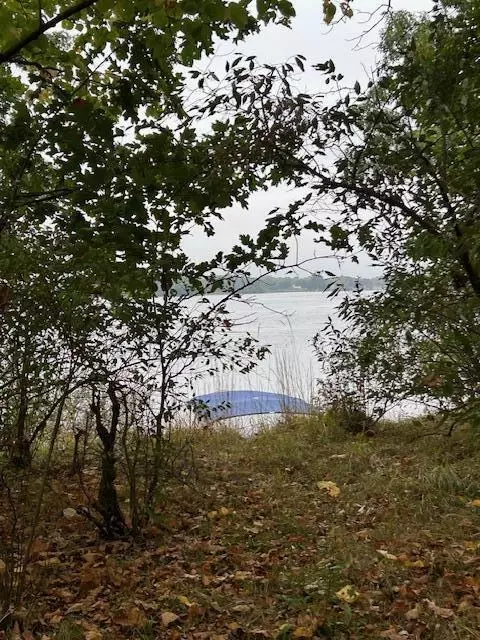 Snake Island, Jackson, MI 49201 photo 38