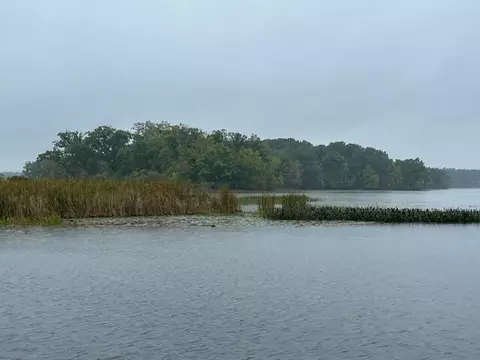 Snake Island, Jackson, MI 49201 photo 44