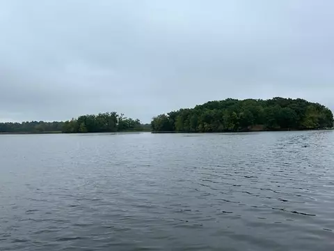 Snake Island, Jackson, MI 49201 photo 27