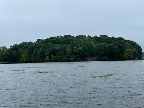 Snake Island, Jackson, MI 49201 photo 26