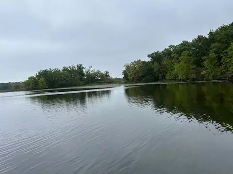 Snake Island, Jackson, MI 49201 photo 41