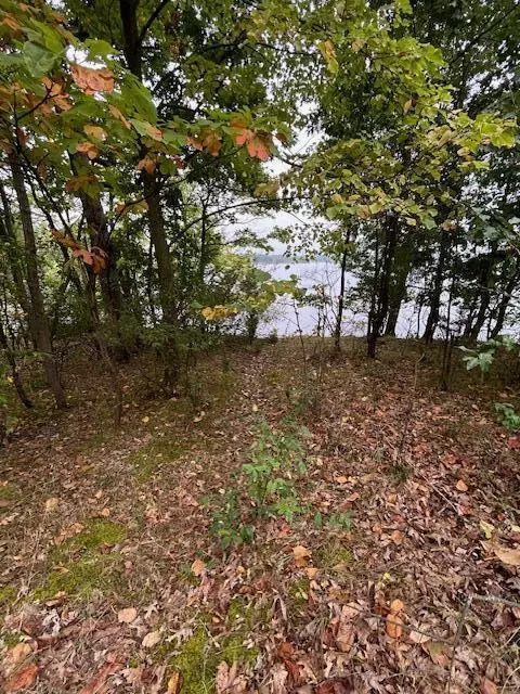 Snake Island, Jackson, MI 49201 photo 34