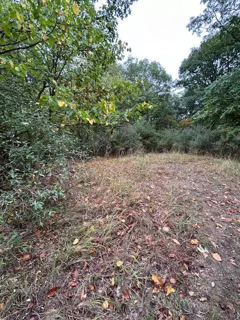 Snake Island, Jackson, MI 49201 photo 32
