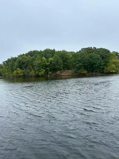 Snake Island, Jackson, MI 49201 photo 28