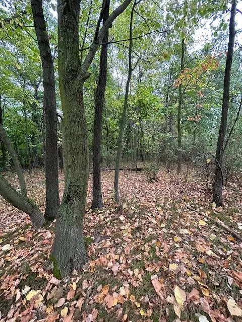 Snake Island, Jackson, MI 49201 photo 35