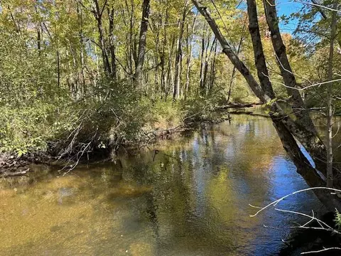View/Area - 85 N Baldwin, White Cloud, MI 49349 photo 3 of 3