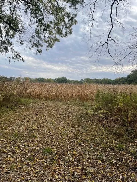 Elbow Lake, Vandalia, MI 49095