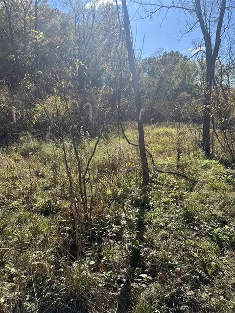 Vl E B, Plainwell, MI 49080