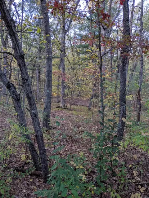 S V/l Stakes, Gowen, MI 49326
