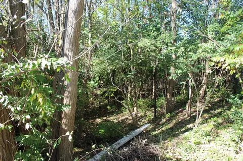 Vacant E Clark, Ypsilanti, MI 48198 photo 8