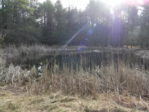 E Kinney, Branch, MI 49402 photo 2