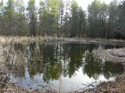 E Kinney, Branch, MI 49402 photo 3