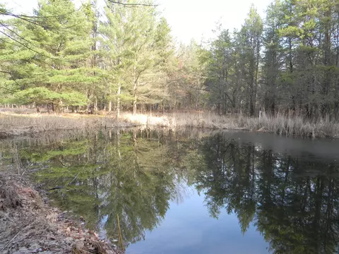 E Kinney, Branch, MI 49402 photo 5