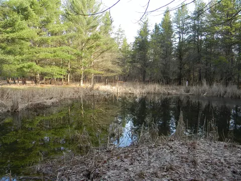 E Kinney, Branch, MI 49402 photo 4