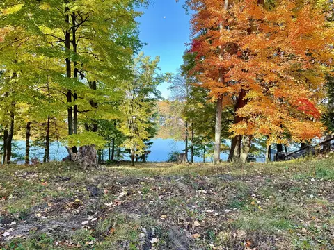 lot8 Otahnagon, Stanwood, MI 49346