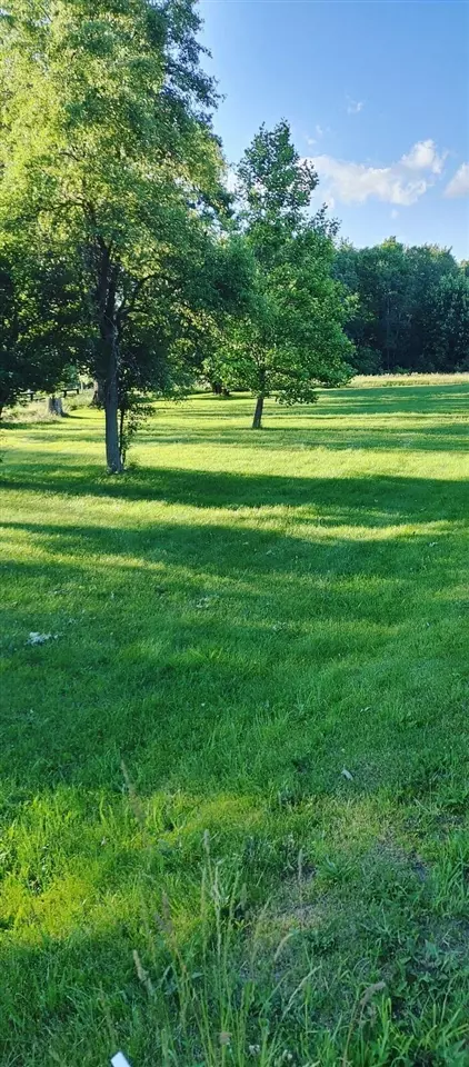653 106th, Plainwell, MI 49080 photo 27
