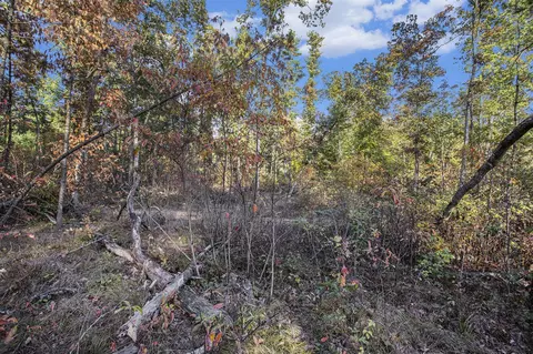 V/l 50th, Hamilton, MI 49419 photo 9