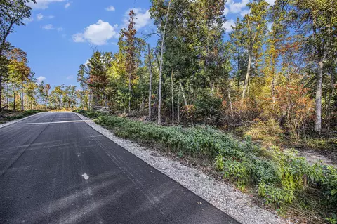 V/l 50th, Hamilton, MI 49419 photo 6