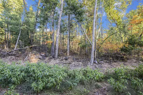 V/l 50th, Hamilton, MI 49419 photo 7