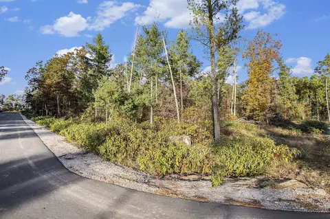 V/l 50th, Hamilton, MI 49419 photo 10