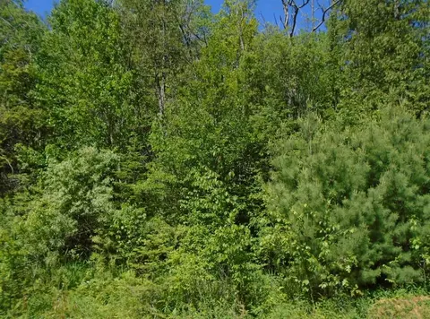 0 Morrison, Alger, MI 48610 photo 4
