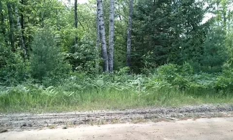 0 Morrison, Alger, MI 48610 photo 2
