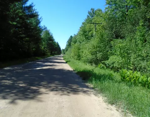 0 Morrison, Alger, MI 48610 photo 3