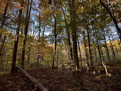 13777 Deer Crk #7, South Haven, MI 49090