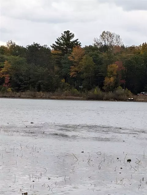 00 W Cedar Lake Rd, Update, MI 48738 photo 4