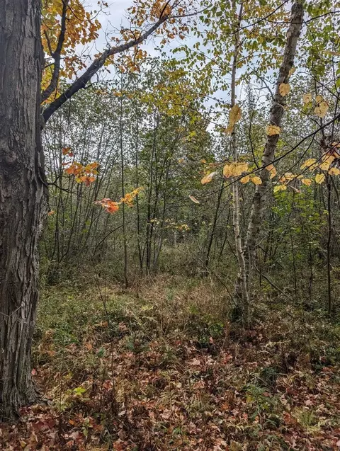 00 W Cedar Lake Rd, Update, MI 48738 photo 3