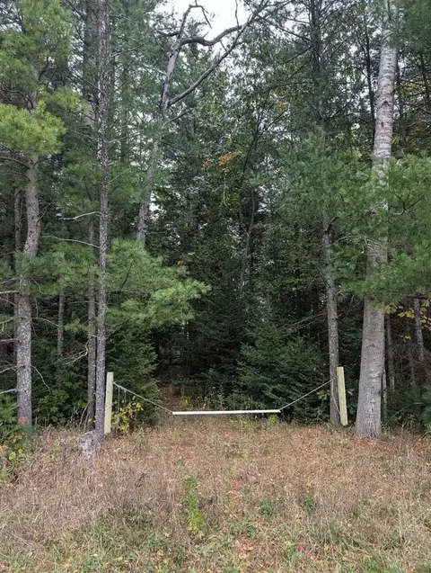 00 W Cedar Lake Rd, Update, MI 48738 photo 2