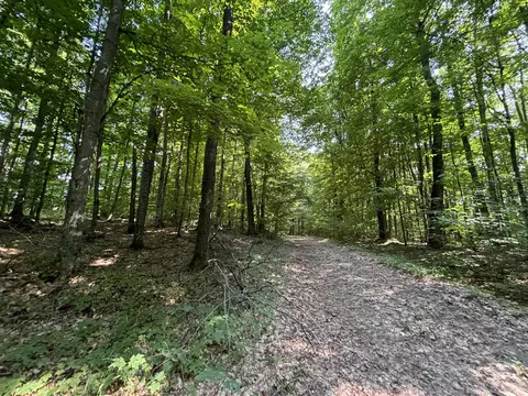V/l 11a Wildwood, Bellaire, MI 49615