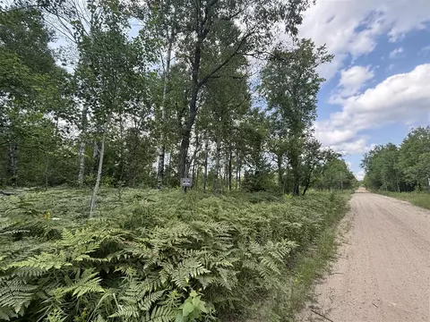 10382 Cinder Hl, Mancelona, MI 49659