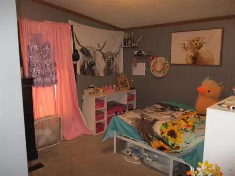 Bedroom - 5570 E Stanton, Stanton, MI 48888 photo 5 of 5