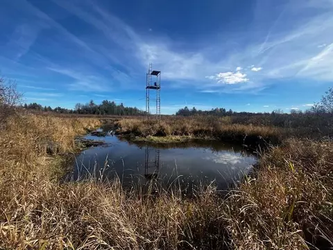 Vl Twin Creek Road, Luther, MI 49656