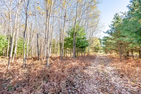 00 48 Rd, Cadillac, MI 49601
