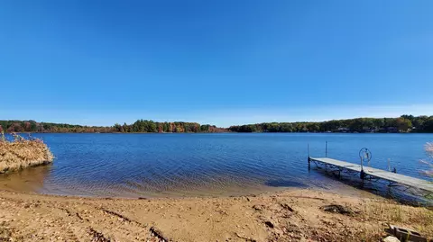View/Area - 91 N Beech, Walkerville, MI 49459 photo 1 of 7