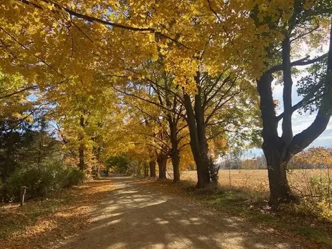 57 Th #PARCEL B, Grand Junction, MI 49056