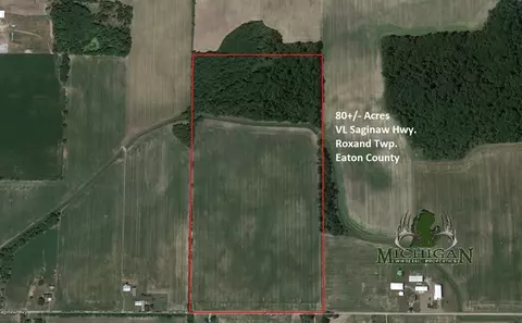 Vl Saginaw Hwy, Mulliken, MI 48861
