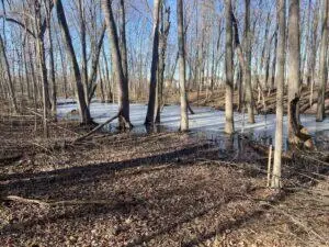 V.l. E Predmore, Update, MI 48363 photo 15