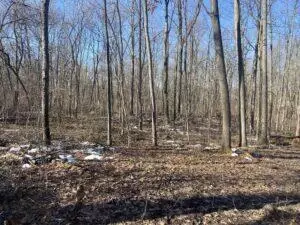 V.l. E Predmore, Update, MI 48363 photo 10