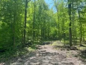 V.l. E Predmore, Update, MI 48363 photo 2